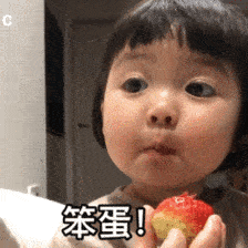 罗熙骂人表情包动图合集|笨蛋,大猪头