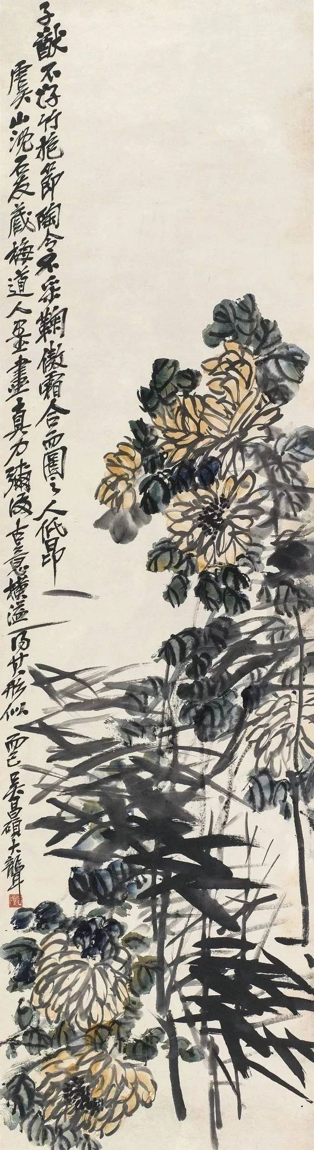 虚谷 菊花