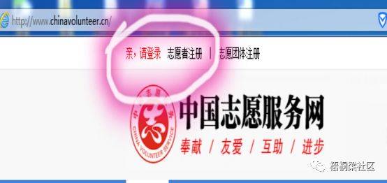 志愿者服务网注册用户名怎么填
