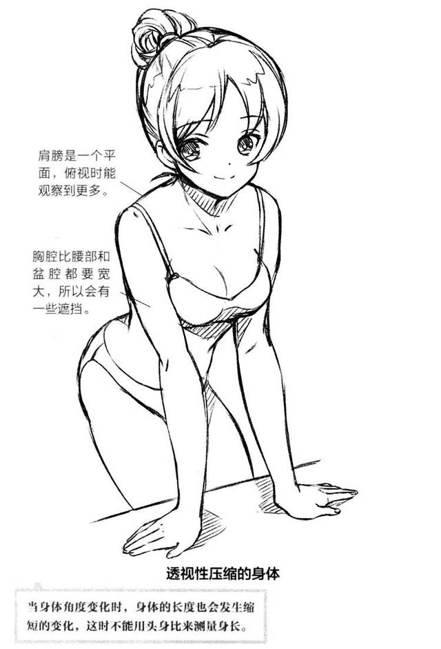 动漫人物各个角度透视的画法!