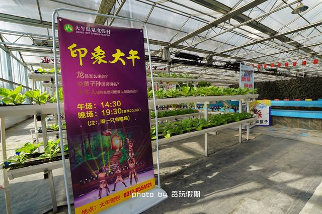 原创一站式玩转【大午】,不仅可以泡温泉,还要逛农业观光园,看演出!