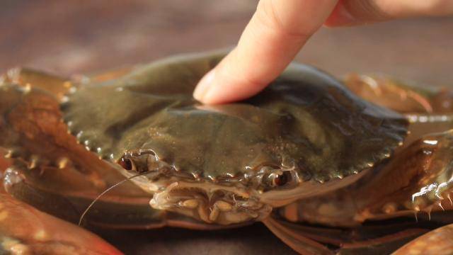 吃螃蟹剥壳嫌麻烦?试试这道软壳蟹,从肉到壳都能吃!