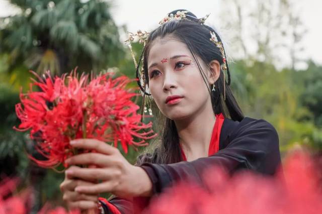 21元素-彼岸花汉服人像拍摄