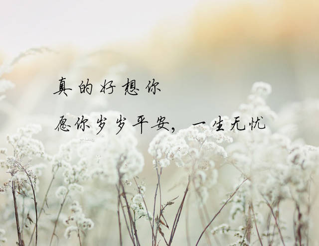 愿你往后岁岁平安,即使从此生生不见