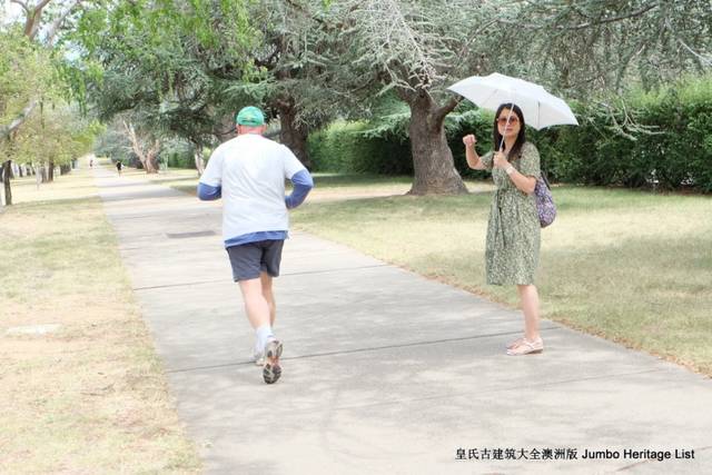 第811回:堪培拉骑在羊背上,澳洲人坐在矿车里