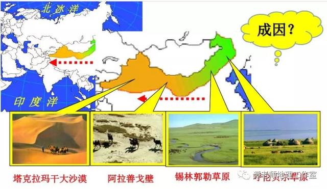 【专题突破】2020高考地理地形地质,地域分异规律专题