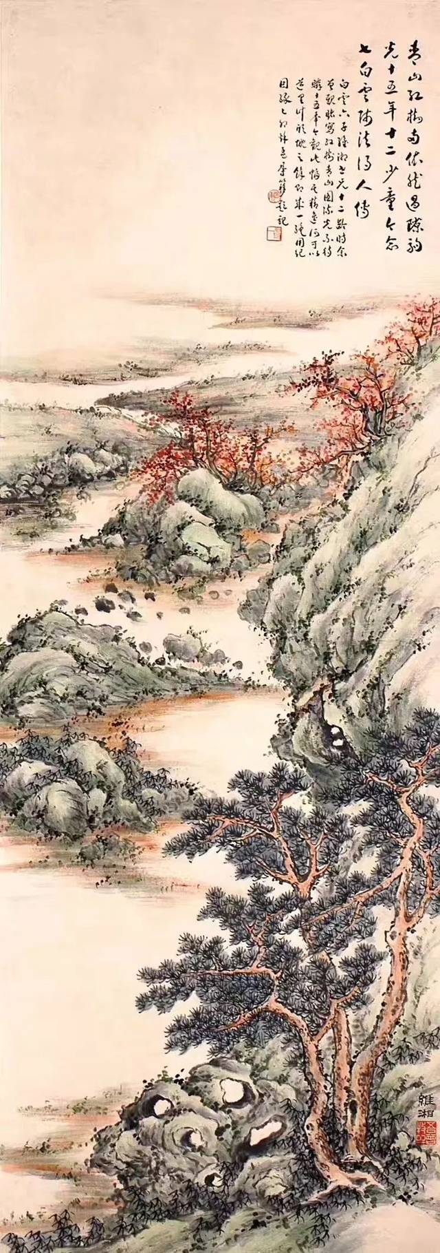 青山红树