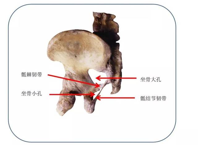 现在知道还不晚!