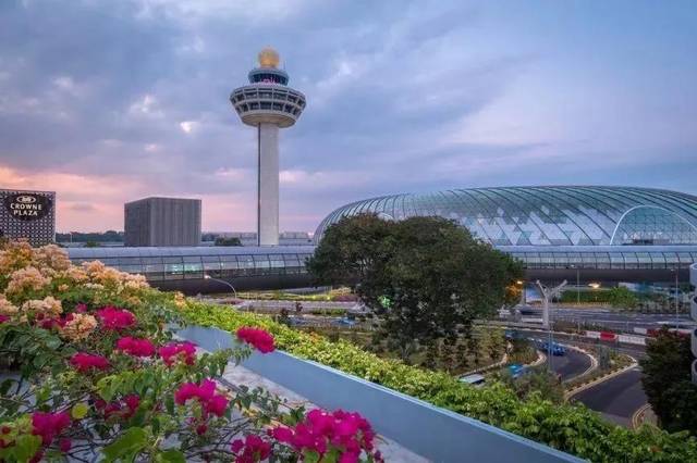 超过20万棵花草树木,新加坡樟宜机场是 全球首个主题花园机场