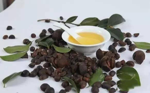 茶油:抗菌,消炎,抗病毒【中战茶油药理作用】