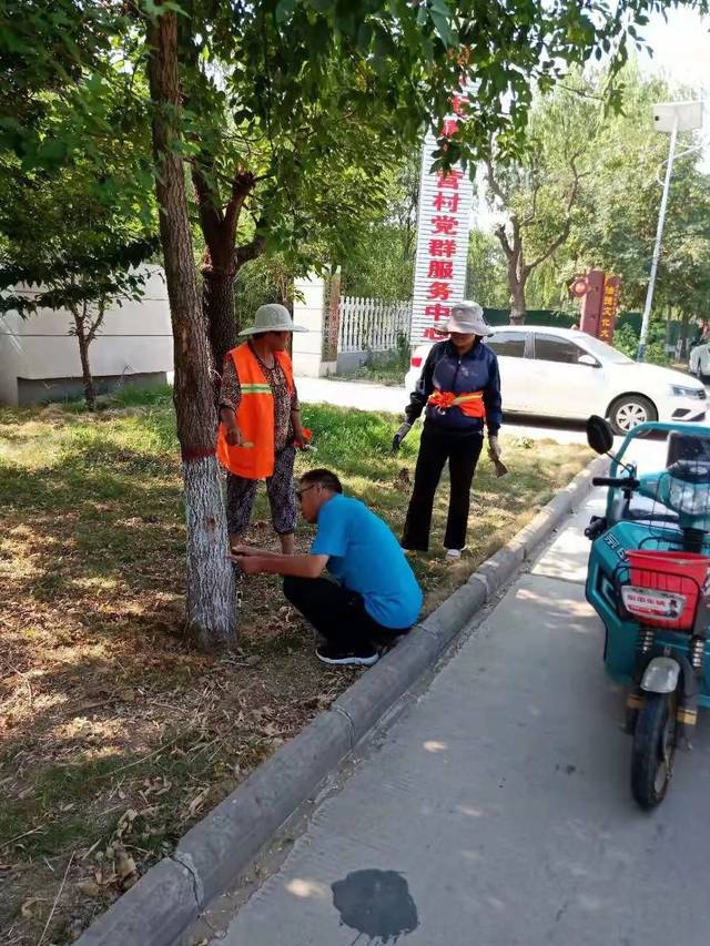 占地120多亩!临淄新增大型商贸市场!