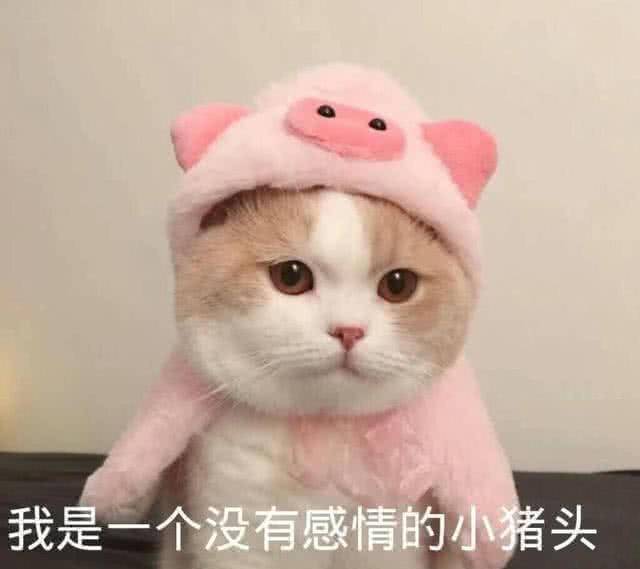 表情包:你的小可爱进入了委屈模式,赶紧哄她哦!