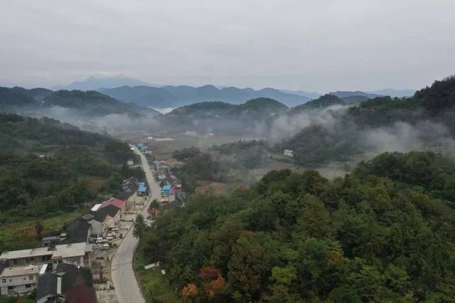 青岗坪村