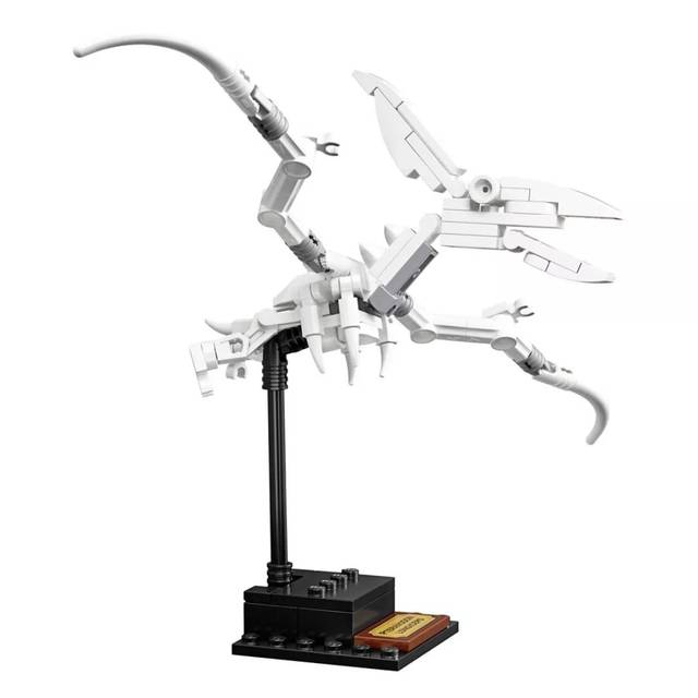 pteranodon longiceps 翼龙