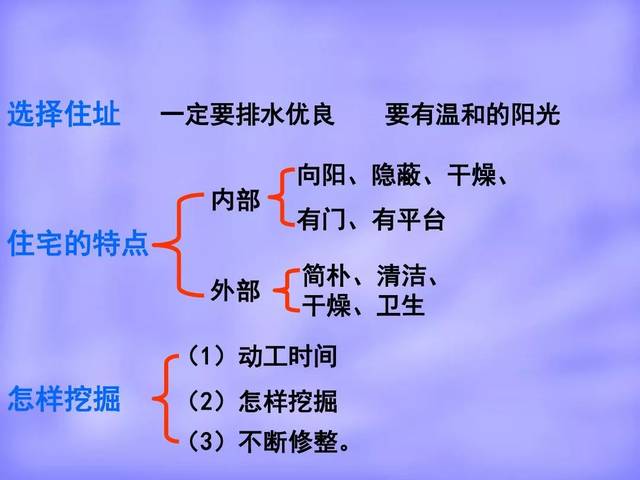 部编版四年级上册第11课《蟋蟀的住宅》知识点 图文解读