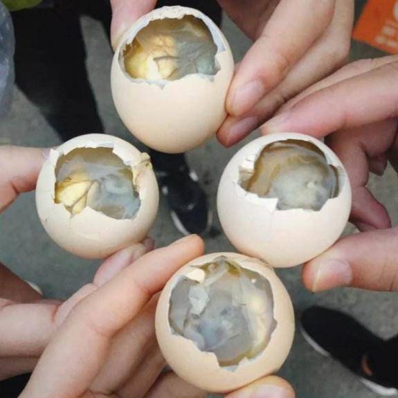 吃过吗?闽南叫作鸡仔胎,南京叫作活珠子