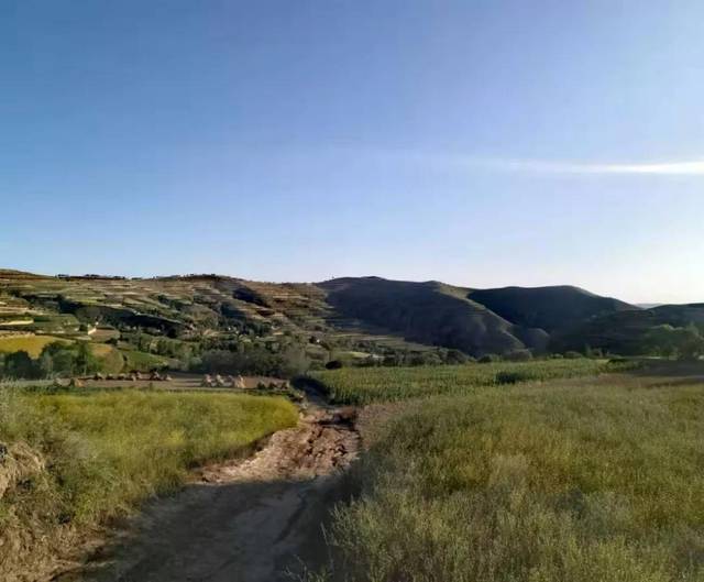 实拍甘肃定西陇西县小山村,典型的黄土高原风貌