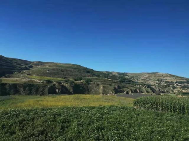 实拍甘肃定西陇西县小山村,典型的黄土高原风貌