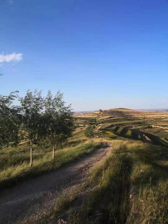 实拍甘肃定西陇西县小山村,典型的黄土高原风貌