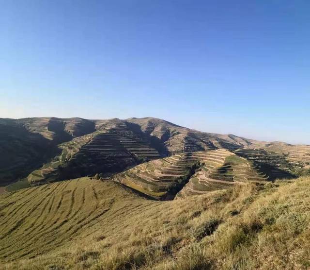 实拍甘肃定西陇西县小山村,典型的黄土高原风貌