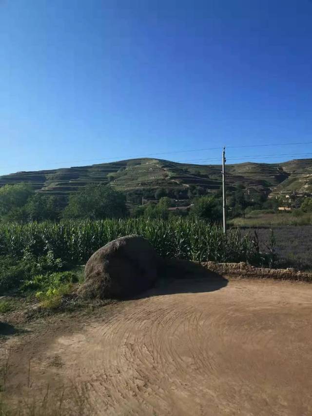 实拍甘肃定西陇西县小山村,典型的黄土高原风貌