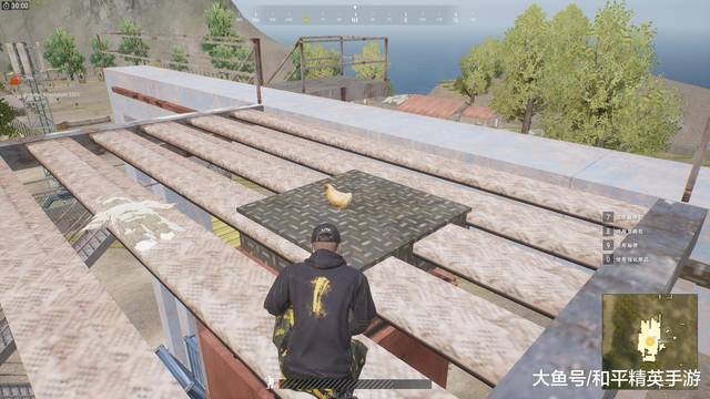 低配版吃鸡网游,反向还原手游,玩家:这个我很