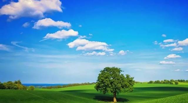 落实工作,要一竿子插到底