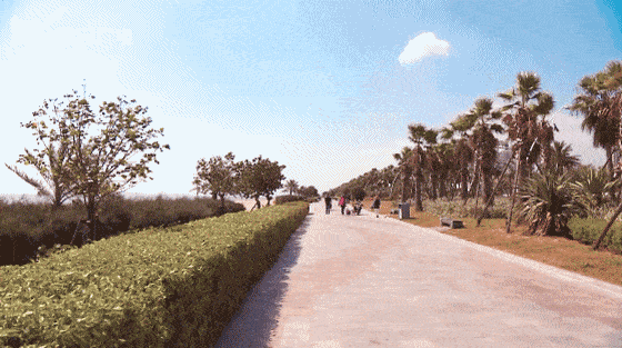 560_313 gif 动态图 动图
