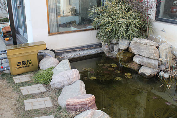 院子里打造鱼池要小心风水