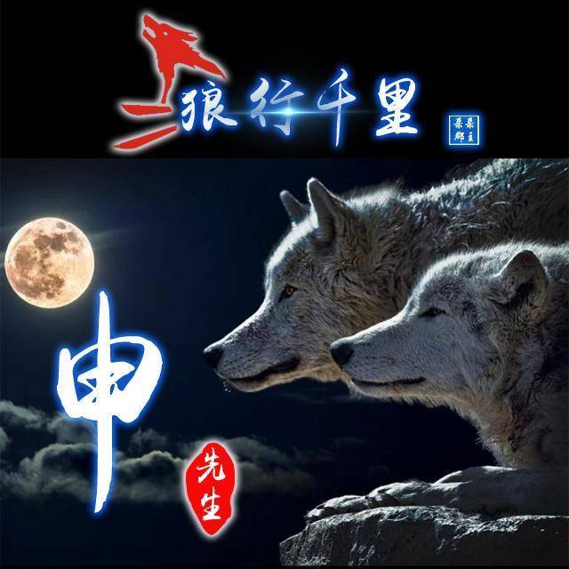 霸气微信头像,姓氏头像,狼行千里精美设计,喜欢请带走