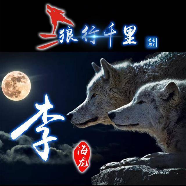 霸气微信头像,姓氏头像,狼行千里精美设计,喜欢请带走