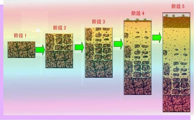 经过长时间的物理,化学,生物风化而需要改善土壤结构