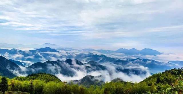 富阳区新登镇友谊畈田园