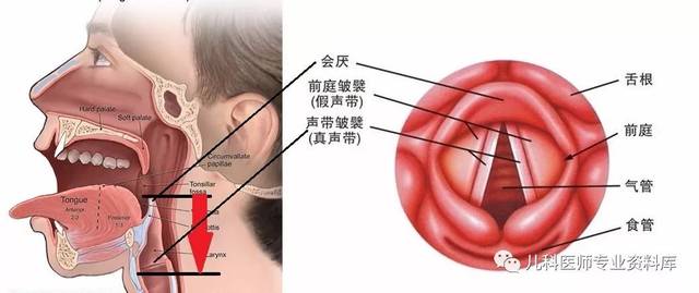 宝宝咳嗽不一定是感冒肺炎,有一种情况也要注意