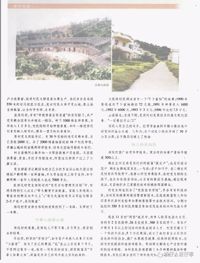 富在深山有"远亲—访福建省平和县西坑村《中