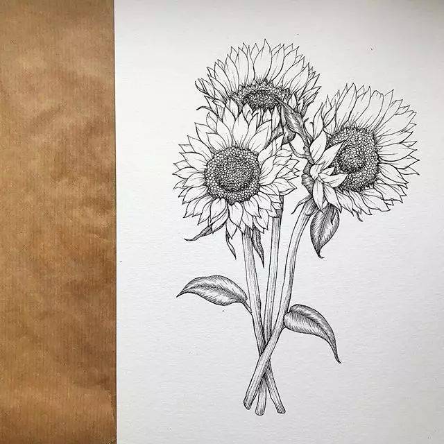 素材合集 | 一支针管笔就能画出的黑白线描画!
