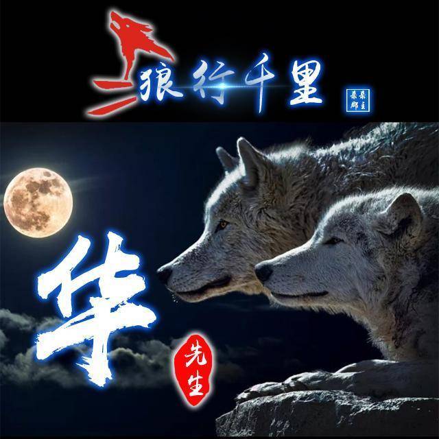 霸气微信头像,姓氏头像,狼行千里精美设计,喜欢请带走