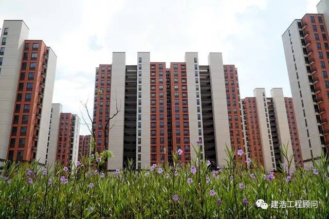 金九银十楼市再聚焦:上海松江南站大型居住社区传捷报,芙蓉苑,蔷薇苑