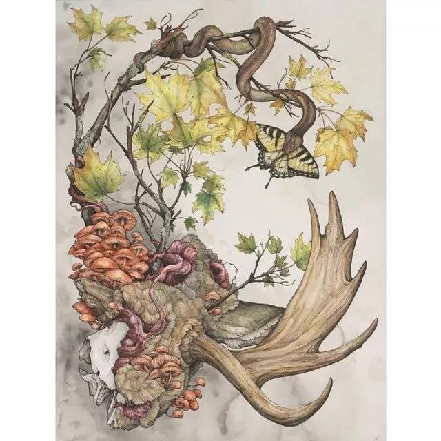 【插画】有点血腥,但真的好看!画师超帅!