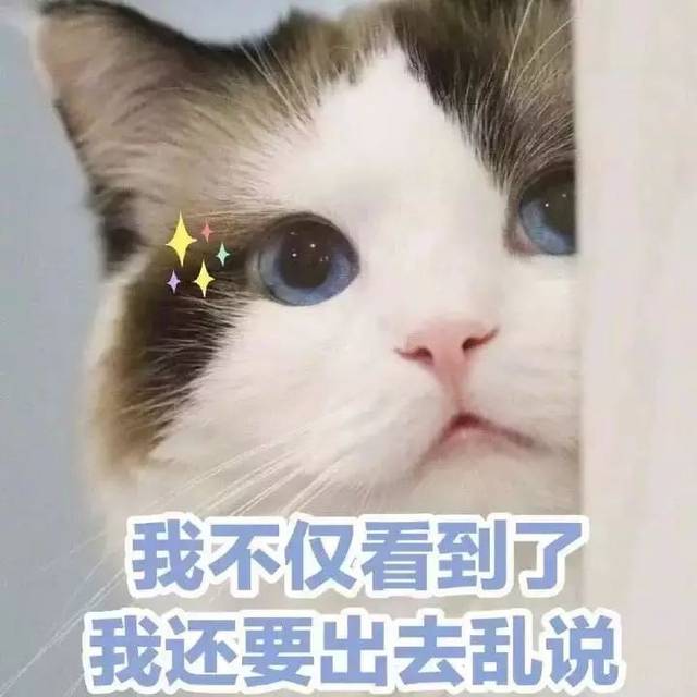 表情包丨你就是嘴硬,欠吻