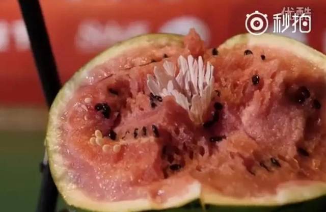 ЦSFҳֱˣΪʲôǰ᣿