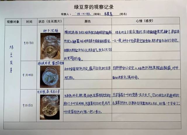 处处留心皆学问,时时观察常记录——四年级语文观察主题实践性活动