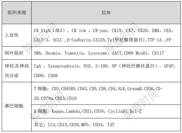 免疫组化指标分不清?一篇轻松搞定_手机搜狐网