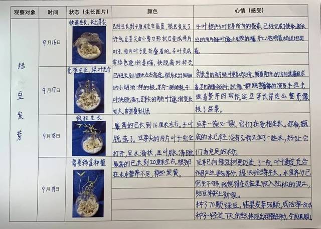 处处留心皆学问,时时观察常记录——四年级语文观察主题实践性活动