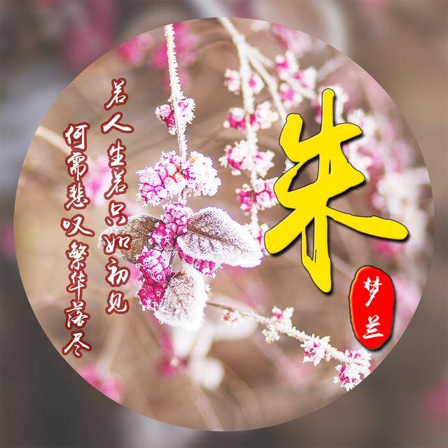 霜降,你的模样,霜降,送你姓氏头像