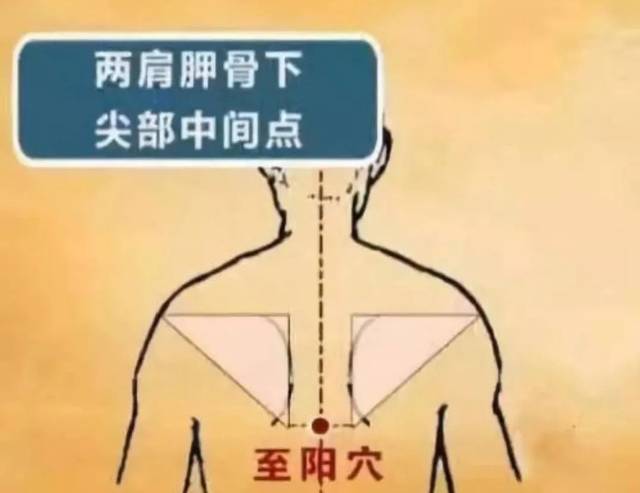 秋冬寒冷灸透7个"生阳点",可帮你源源不断的升发阳气