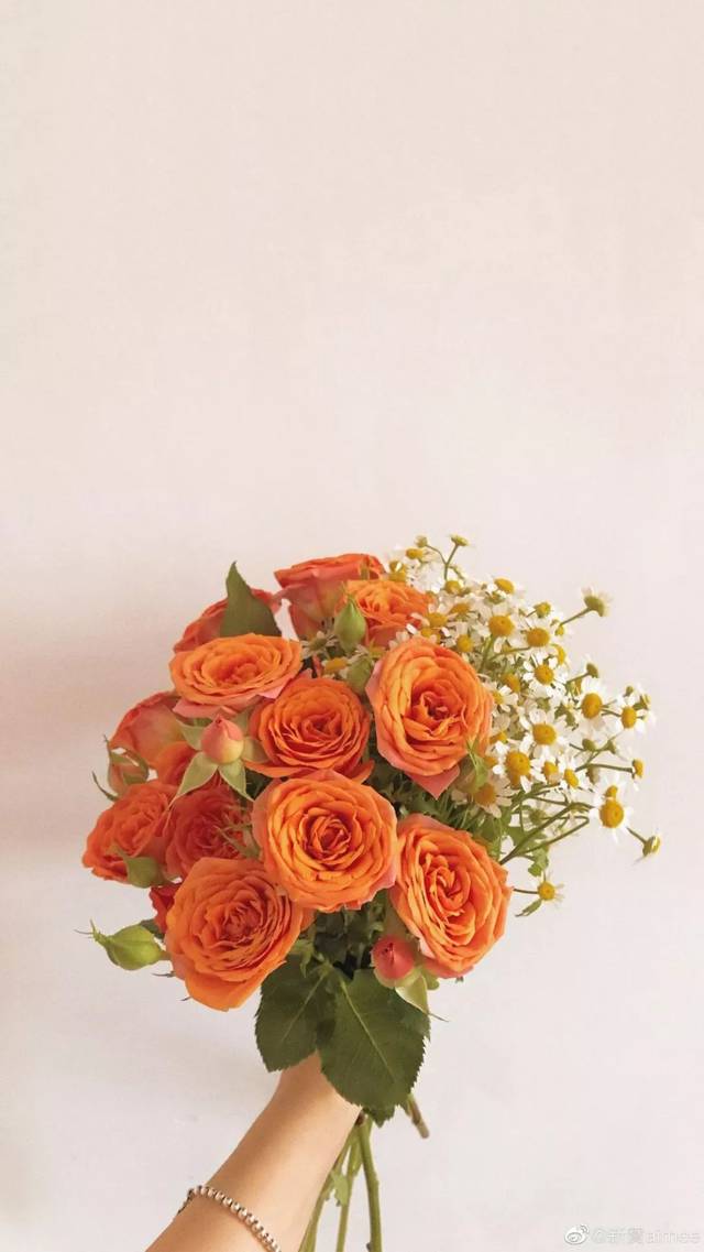 文艺小清新壁纸 | 花店不开了 花继续开