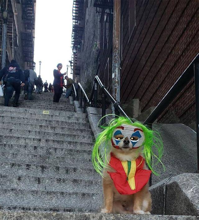 在instagram上,"#jokerstairs(小丑楼梯)"的标签下已经有上千张图片