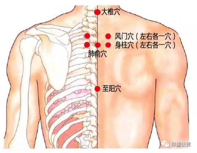 发烧了,艾灸一个穴立即管用!