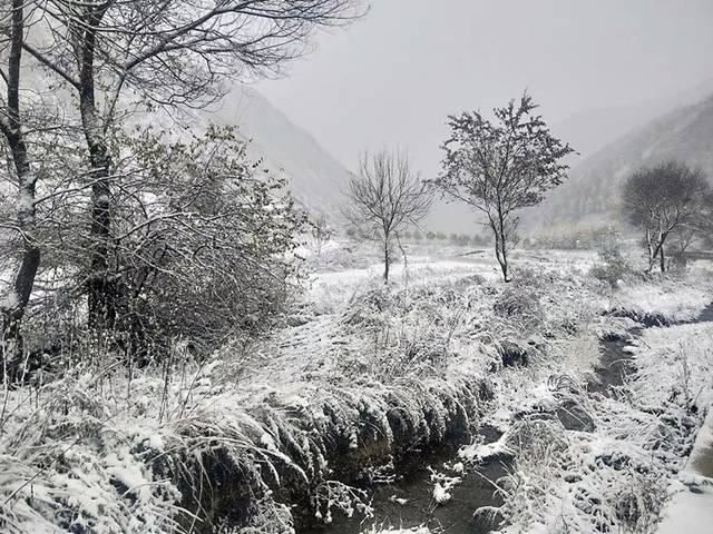 一夜入冬!陇南下雪了